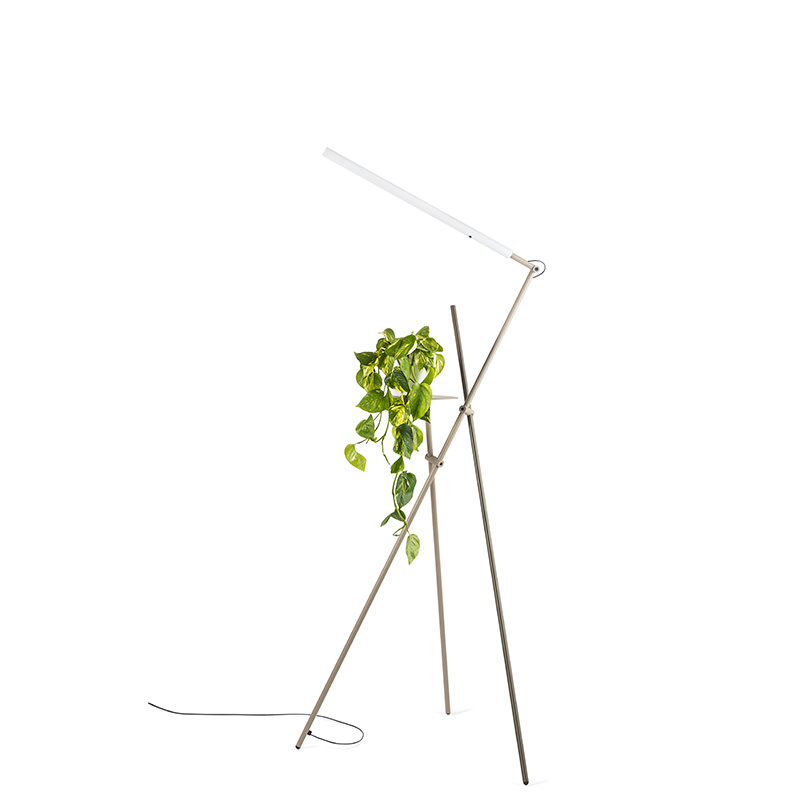 Asana Blanc 01 1