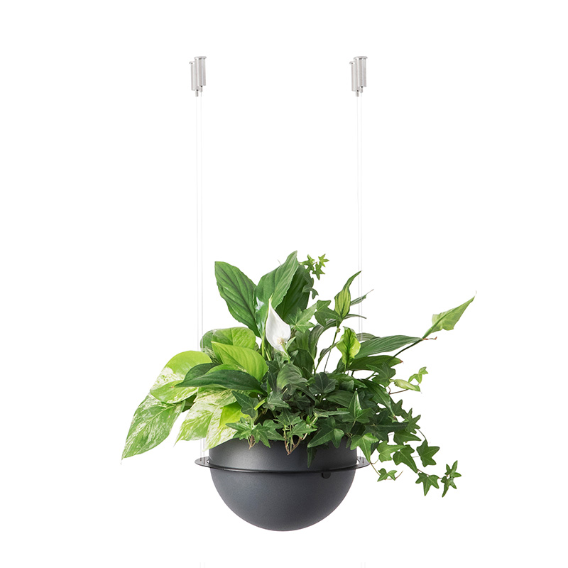 Circ Flower Pot Suspension Secondary